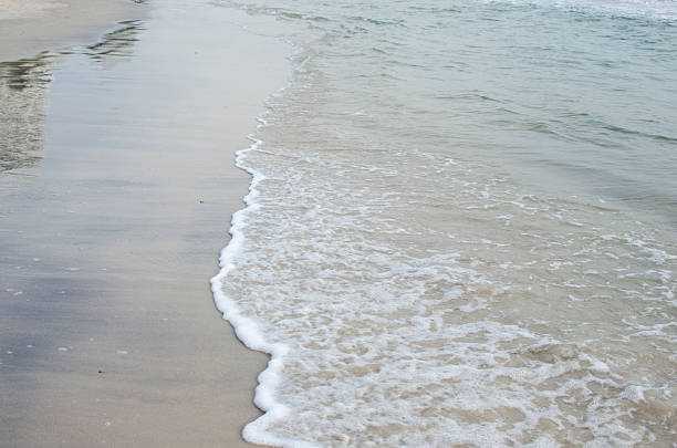 soft wave of the sea on the sandy beach