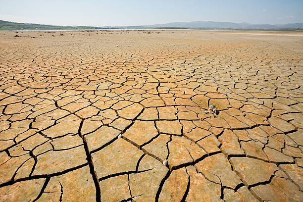 istock Landscape of dry cracked ground 492574981