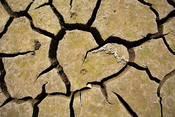 Map of the world with continents from dry deserted soil