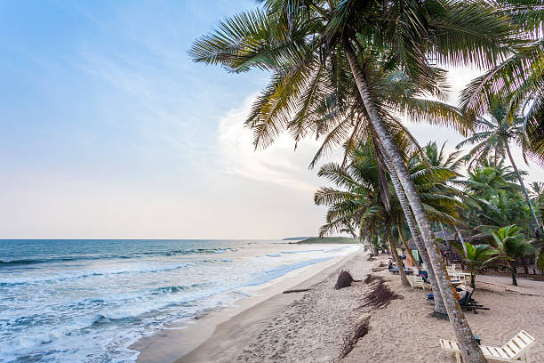 istock Beautiful beach at sunset in african paradise 492576199