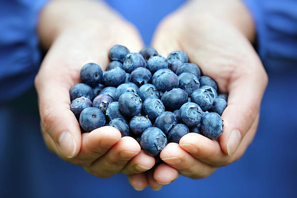 горстка черники - farmers market fruit market berry fruit стоковые фото и изображения