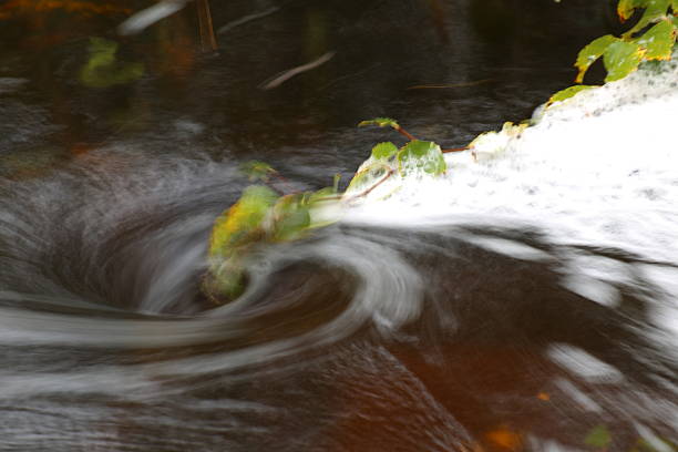 sfocato vortice di acqua con spruzzi e un ramoscello di betulla - green sea whirlpool bubble foto e immagini stock