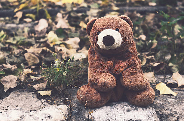 istock Teddy bear in autumn wood 492577734