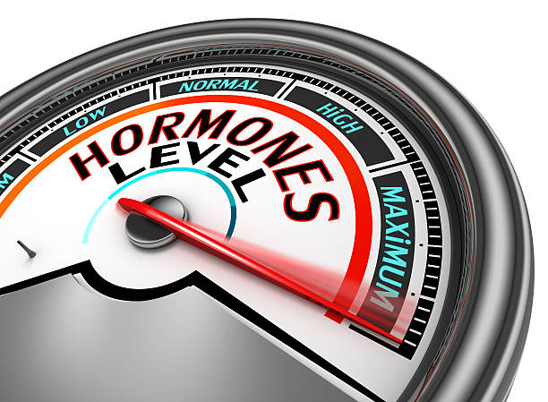 Hormones level conceptual meter stock photo