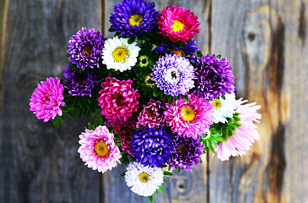 ramo de rosa, blanco y ultravioleta áster sobre fondo de madera - wood single flower flower bouquet fotografías e imágenes de stock