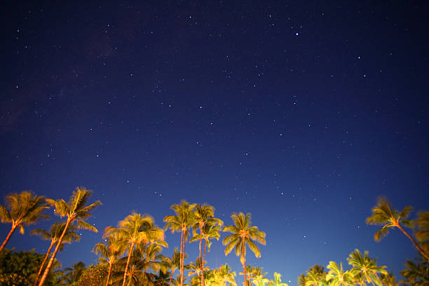 istock Star-gazing in Resort Island 492579622