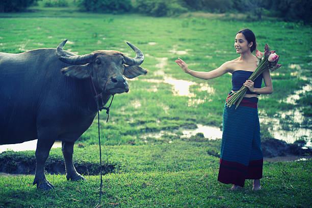 istock thai ancient young women with buffalo on rural 492580746