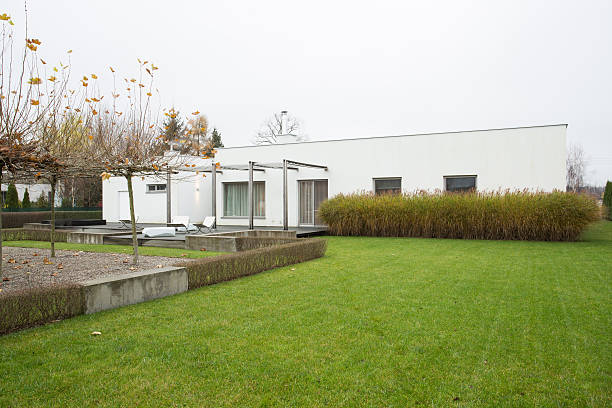 istock Detached house with green lawn 492581946