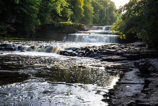 istock Lower falls at Aysgarth, North Yorkshire. 492582758