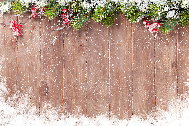 weihnachten hintergrund mit tanne baum - stechpalme fotos stock-fotos und bilder