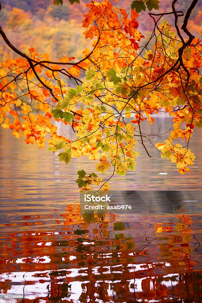 Autumn Autumn colors in Plitvice National Park, Croatia 2015 Stock Photo