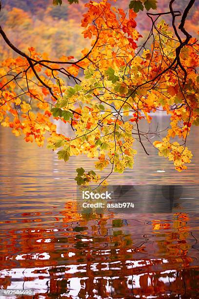 Autumn Stock Photo - Download Image Now - 2015, Autumn, Backgrounds