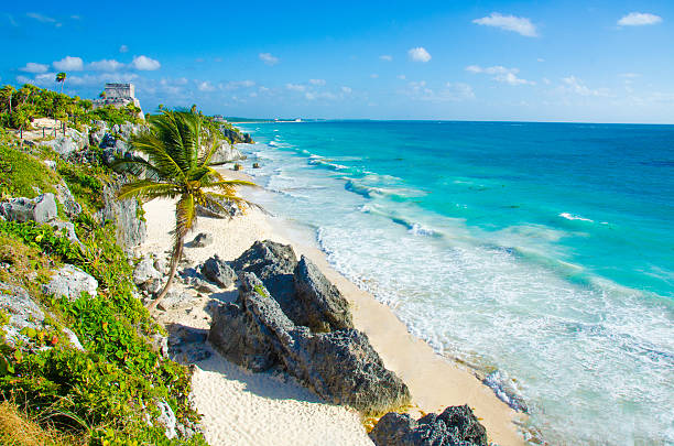 templo de tulum maya - mexico the americas ancient past fotografías e imágenes de stock