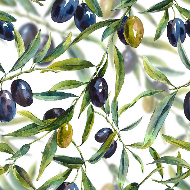 nahtlose muster mit zweige der olive tree - fruit painting food oil painting stock-grafiken, -clipart, -cartoons und -symbole