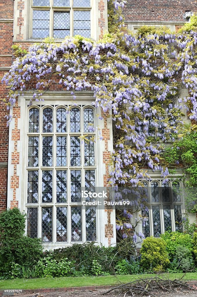 tudor window with wisteria large tudor window with wisteria Architecture Stock Photo