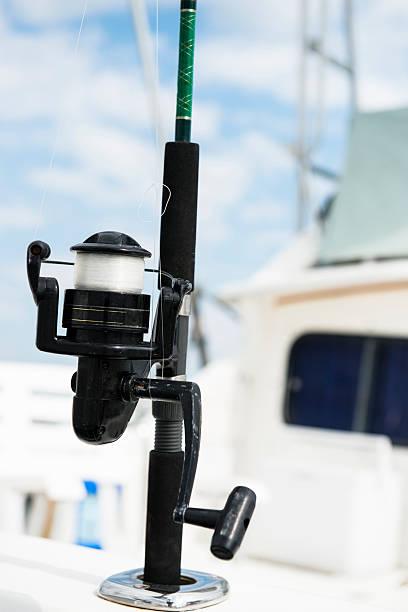 istock Spinning Fishing Reel 492597993