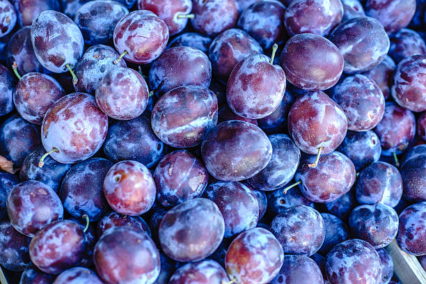 Plastic tray of Plums isolated on a white background.