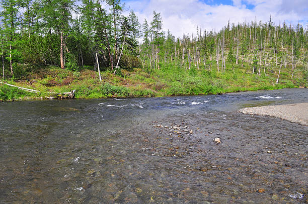 istock Mountain river on the Putorana plateau. 492599350