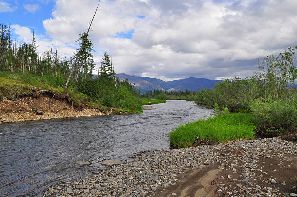 istock Mountain river on the Putorana plateau. 492599528