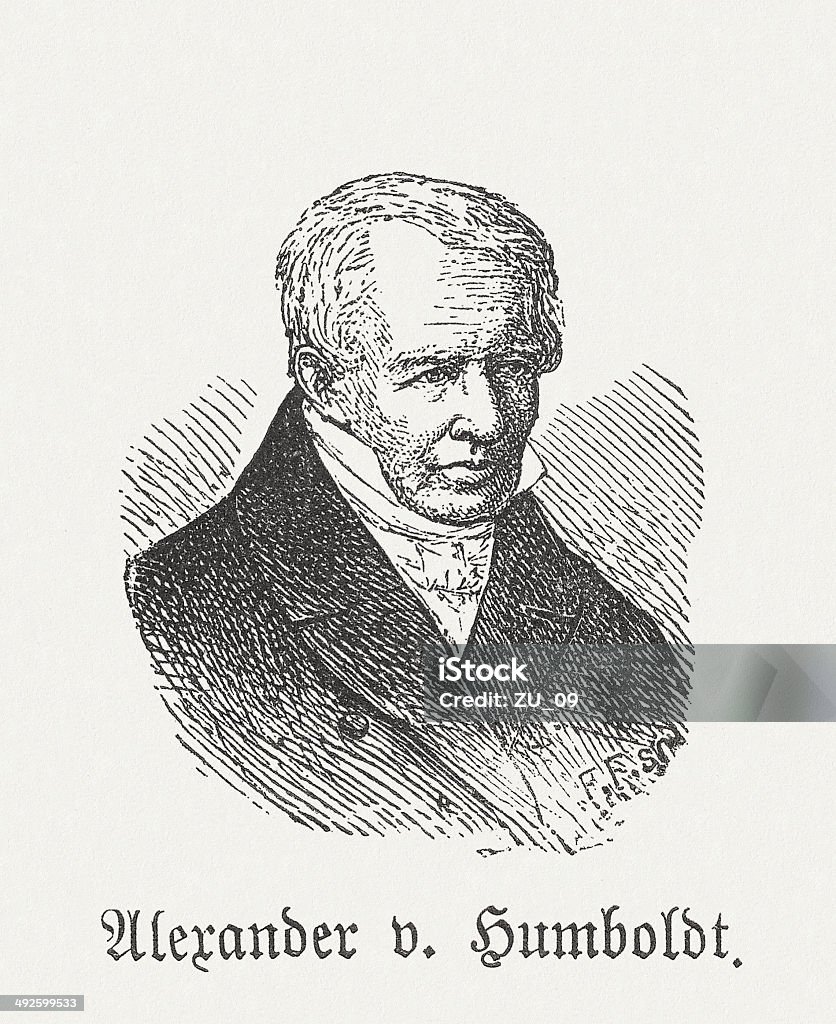 Alexander von Humboldt (1769-1859), German naturalist, wood engraving, published 1881 Alexander von Humboldt (1769 - 1859), German naturalist. Woodcut engraving, published in 1881. Alexander von Humboldt stock illustration
