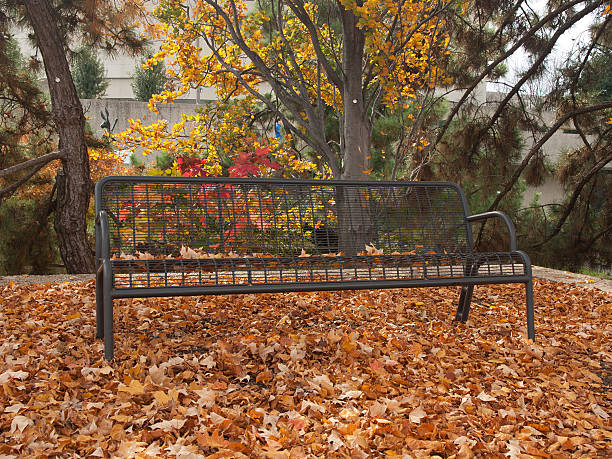 istock Metal bench amongst fallen leaves 492600107