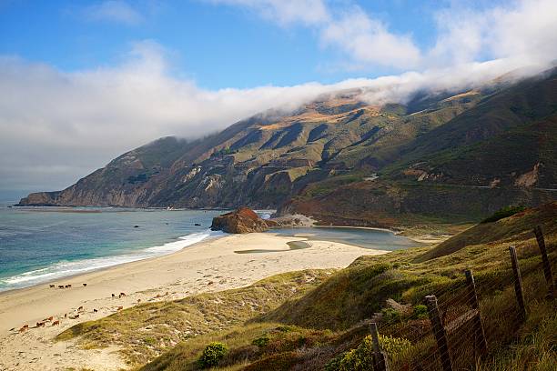 Little Sur stock photo