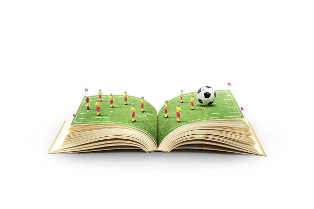 istock Open book with green grass soccer stadium 492601570