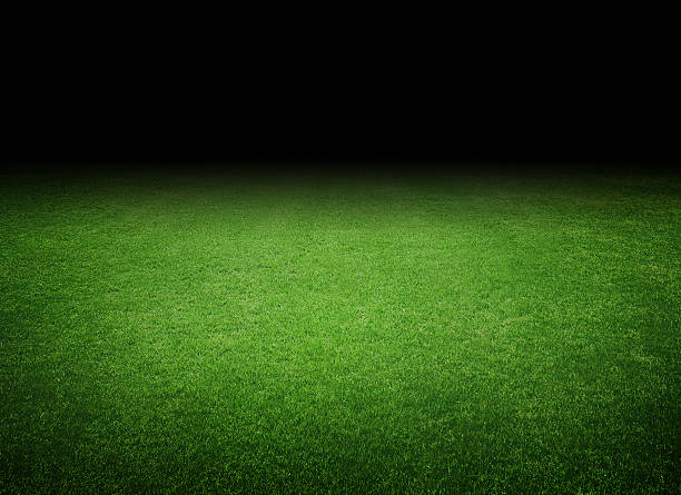 soccer field - soccer field soccer grass green stock-fotos und bilder