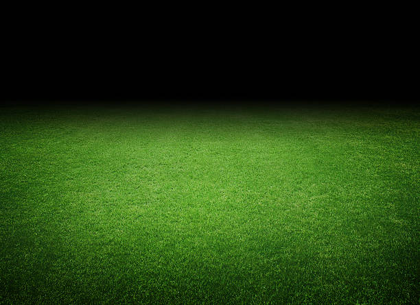 campo de fútbol - soccer soccer field grass artificial turf fotografías e imágenes de stock