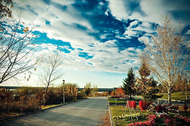 istock Sunset in autumn park 492603490