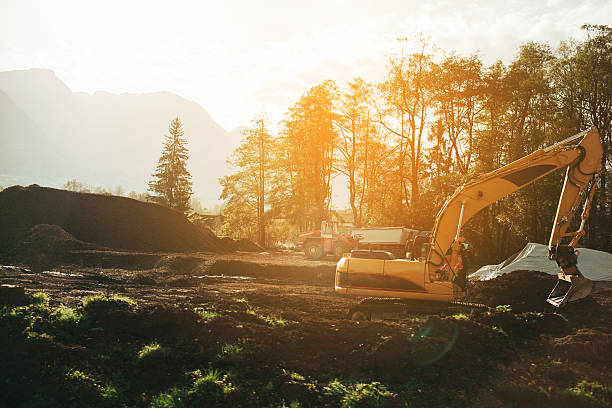 Excavator in forest Excavator extract peat in forest  pine tree lumber industry forest deforestation stock pictures, royalty-free photos & images