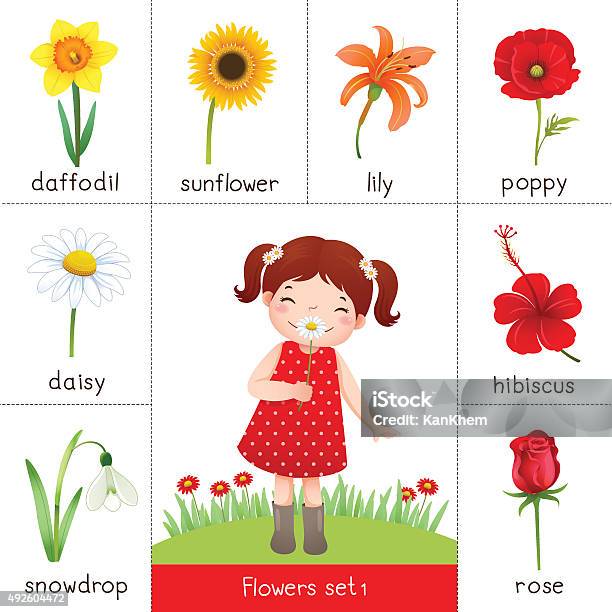 Printable Flash Card For Flowers And Little Girl Smelling Flower Stock Illustration - Download Image Now