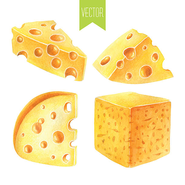 illustrazioni stock, clip art, cartoni animati e icone di tendenza di set di acquerello di formaggi - cheese isolated portion dutch culture