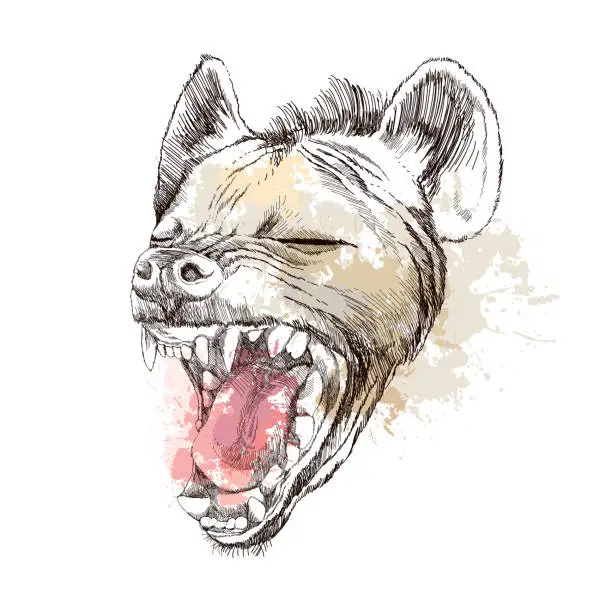 Vector illustration of Head of laughing hyena on the blots background