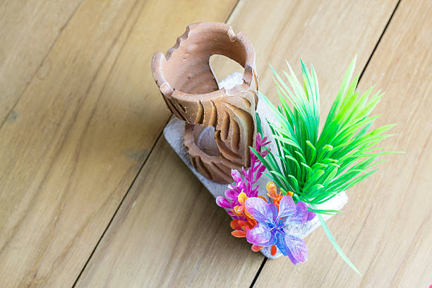 istock fake plastic coral on wooden board 492606594