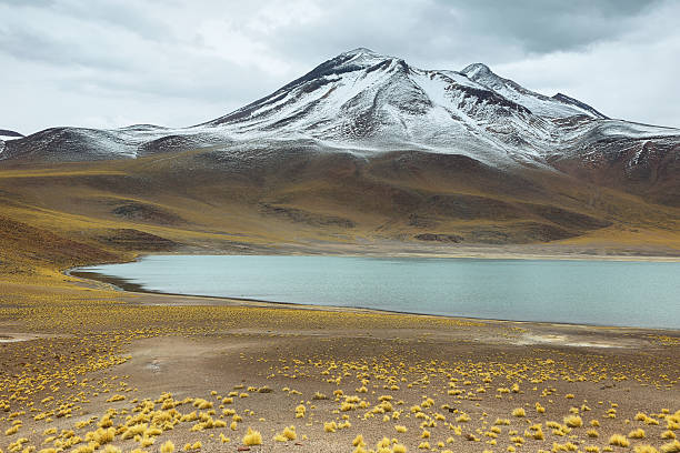 istock View of mountains and Miscanti lagoon in Sico Pass 492607468