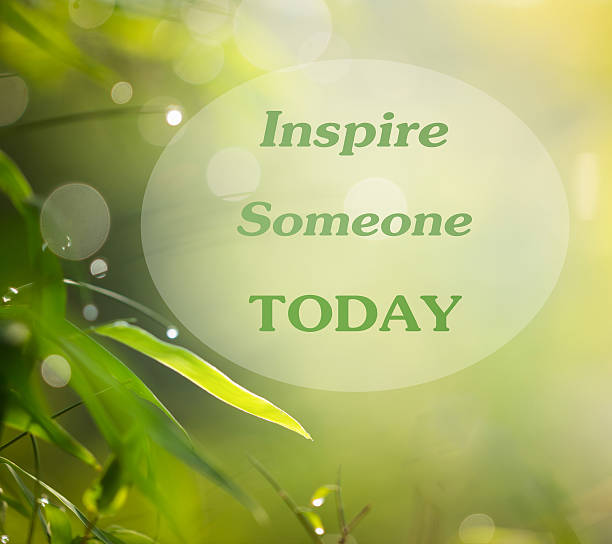inspired quotation on green leaf of bamboo and blur background