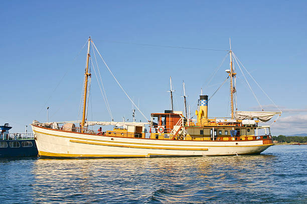 istock Sailing and steam boat 492610544