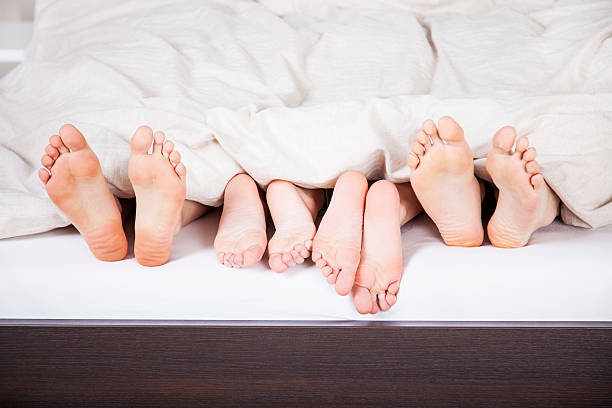 Family's feet hiding under blanket Dad, mom, boy and girl lying in bed under blanket showing only their feet. Morning scene of family in bed. bed human foot couple two parent family stock pictures, royalty-free photos & images