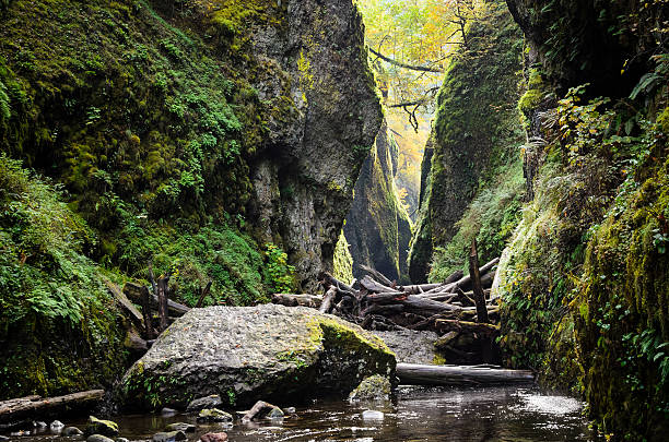 istock Columbia, Columbia Gorge 492621218