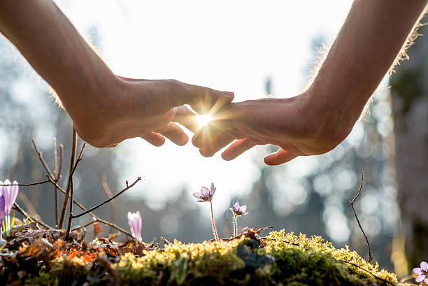 Hand Covering Flowers at the Garden with Sunlight Close up Bare Hand of a Man Covering Small Flowers at the Garden with Sunlight Between Fingers. free hug stock pictures, royalty-free photos & images
