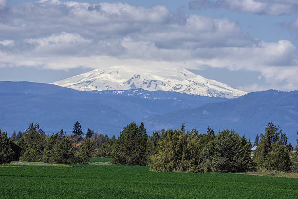 istock Mt Hood from the east 492624643