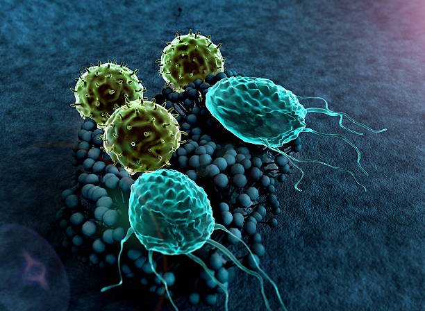 11,600+ Bacterial Spore Stock Photos and Royalty-Free Pictures