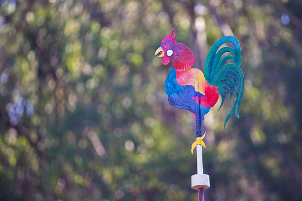 A weather bane in the shape of a rooster in Tilden Park, Berkeley.