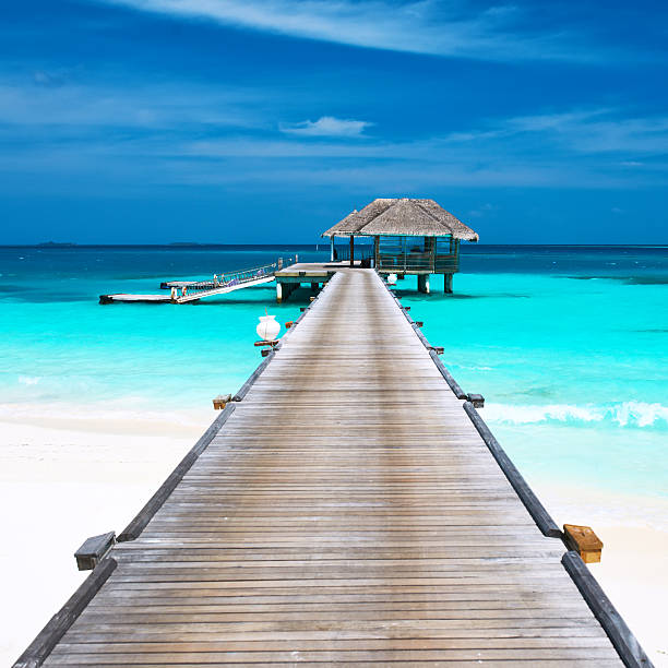 istock Beautiful beach with water bungalows 492626309