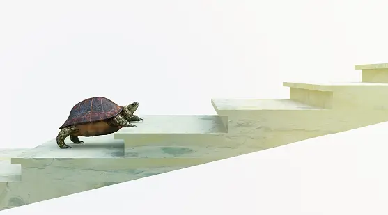 moving turtle wants to climb on the stairs concept background