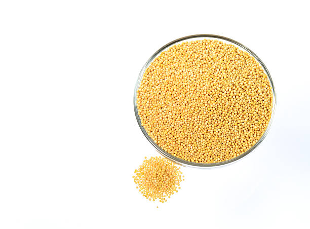 istock Yellow mustard seeds in glass bowl 492628490