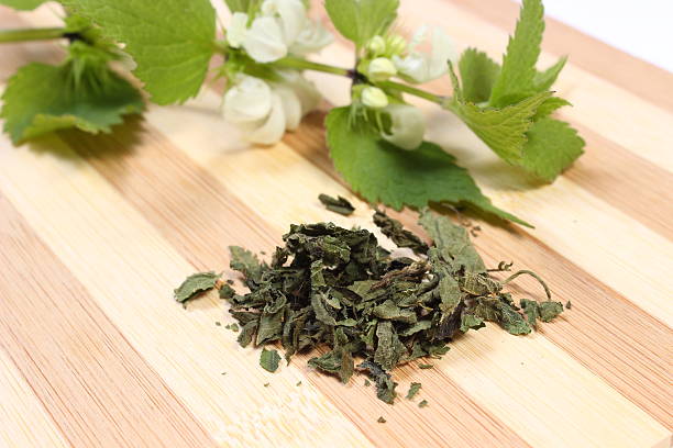 istock Heap of dried nettle and fresh branch 492628565
