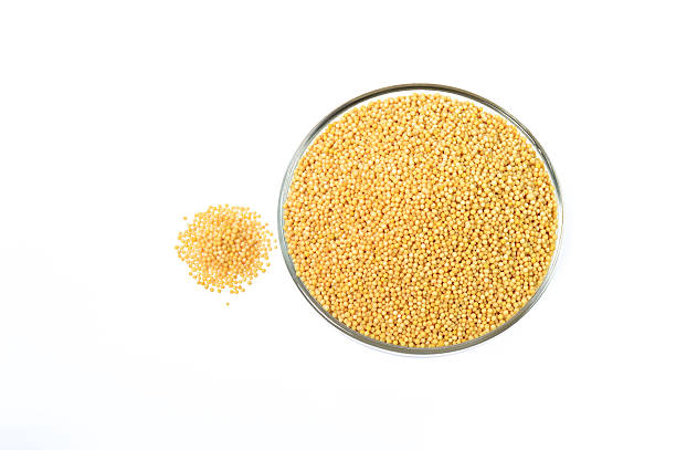 istock Yellow mustard seeds in glass bowl 492628598