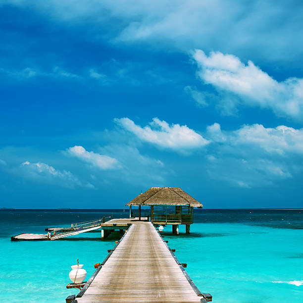 istock Beautiful beach with water bungalows 492630503